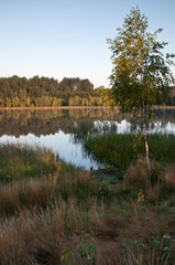 Bory Tucholskie-poranek nad jeziorem
