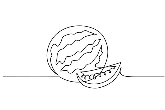 Continuous one line drawing. Watermelon berry fruit. Vector illustration