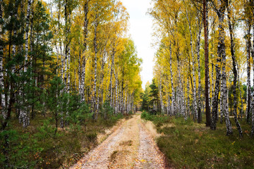 Fototapeta na wymiar Jesienny krajobraz 15