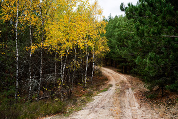 Jesienny krajobraz 11 © Maurycy