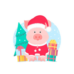 A cute pig in a suit and a Santa Claus hat with a furry pompon. Gift boxes, spruce.