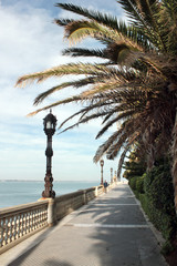 Promenade paseo de Santa Barbara in Cádiz