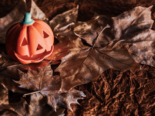 fondo halloween con calabaza sobre hojas secas. Vintage o retro