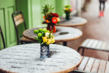 Flowers stand on a snowy table