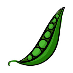 Peas icon. Cartoon of peas vector icon for web design isolated on white background