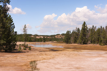 Yellowstone