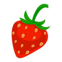 Strawberry icon. Cartoon of strawberry vector icon for web design isolated on white background