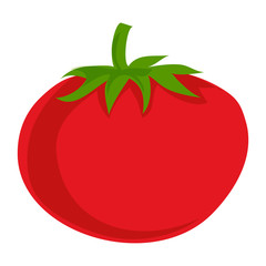 Red eco tomato icon. Cartoon of red eco tomato vector icon for web design isolated on white background