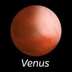Venus planet icon. Realistic illustration of venus planet vector icon for web design