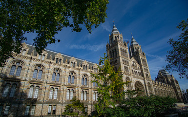 Natural History museum in England, London, UK