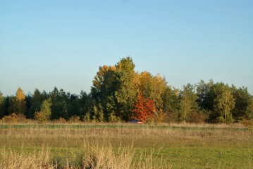 polska jesień © Pawe