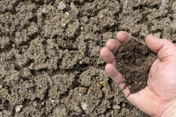 Soil, cultivated dirt, earth, ground, brown land background. Organic gardening, agriculture. Nature closeup. Environmental texture, pattern. Mud on field.