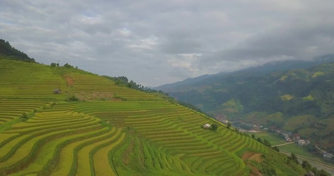 Aerial view of Vietnam landscapes. Rice fields on terraced of Mu Cang Chai, YenBai. Royalty high-quality free stock footage of beautiful terrace rice fields prepare the harvest at Northwest Vietnam