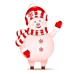 Christmas Pig, isolated