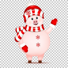 Christmas Pig, isolated