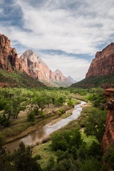 Zion garden