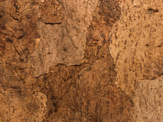 Abstract texture of cork tile 