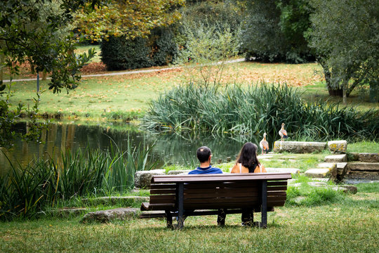 Couple Seated on the Bench in the Park