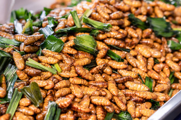 Fried Bamboo Caterpillar sell on the street food cart, exotic local food in Thailand