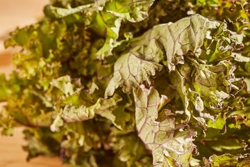 a bunch of raw, red leaf kale, a popular green vegetable.