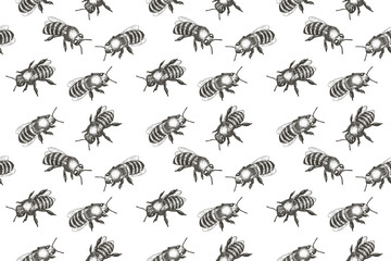 Seamless pattern with bees. Hand drawn vector illustration.