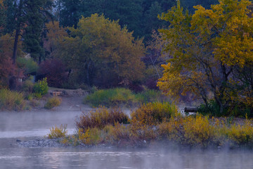 Autumn morning on a river
