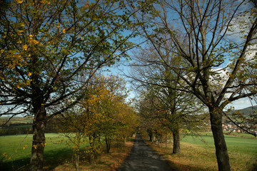 A view of the hill called Helfštýn on the field and its surroundings and the path that leads to monuments during the autumn