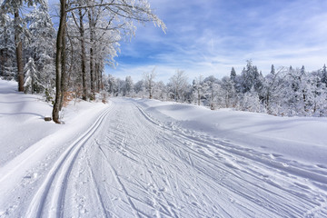 Fototapeta na wymiar Winter mountain landscape. Trail to cross-country skiing on a mountain road, trees covered with hoarfrost and snow, blue sky with white clouds.