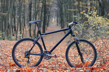 Fototapeta na wymiar Bicycle standing in mystic autumn park or forest. Healthy lifestyle concept.