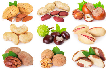 Collection of nuts on white background