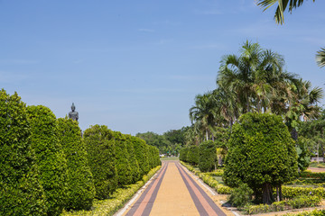 Stone Pathway in the Green Park