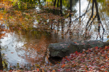 rock in lake in autumn with tree reflections