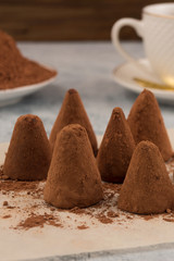Chocolate dessert-candy truffles in cocoa powder.
