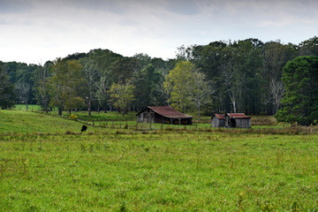 A small farm in rural WV with weathered barns and green pastures.