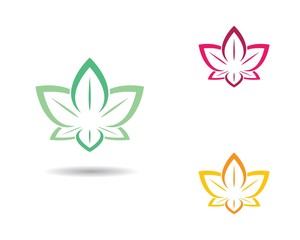 Beauty flower logo