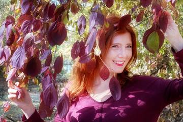 Schönes sexy reizendes junges fuchsiges feuriges rothaariges Mädchen, unter violettem lila Herbst Busch, die Blätter  in beiden Händen haltend im Park, glücklich, fröhlich, lustig mit Lachen im Gesich
