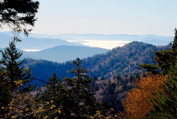 Foggy sunrise over the Great Smoky Mountains National Park.