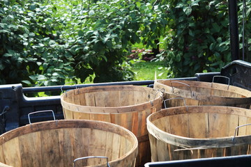 Four apple baskets on a cart in the orchard