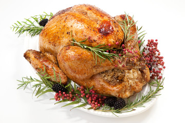 Thanksgiving Turkey on White