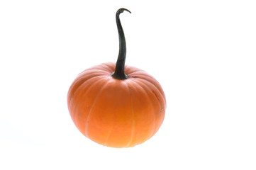 Pumpkin isolated on a white background