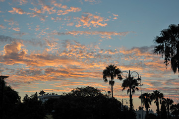 Fototapeta na wymiar Sunset with palms and cirrus cliuds