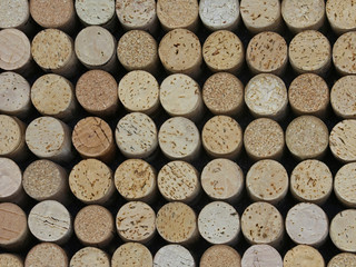In an overhead view, clean and logo-free wine corks are shown in a neatly arranged display.
