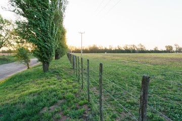 wooden fence in a field