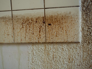 Grease spots and dirt stains on wall paper and tiles in old, filthy kitchen of demolished apartment...