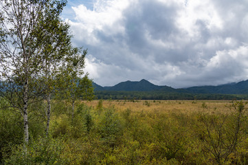 戦場ヶ原　栃木県　日光市