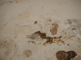 Black mold and mildew spots on humind wall or ceiling due to poor ventilation, fungus growth causing health problems after water damage indoor before removal or anti-mould treatment