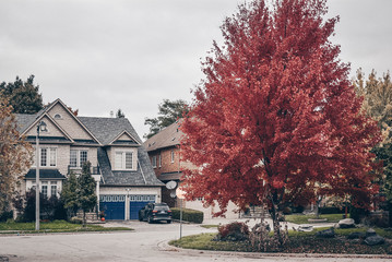 Fototapeta na wymiar house in autumn