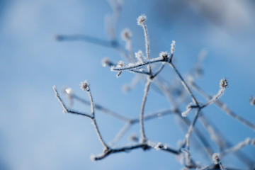 Neige en Ile de France