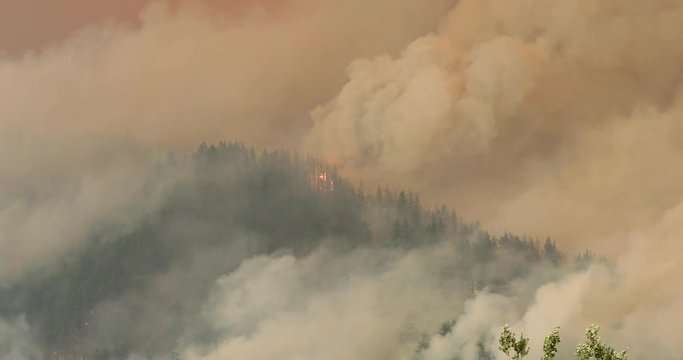 Eagle Creek wildfire Oregon.