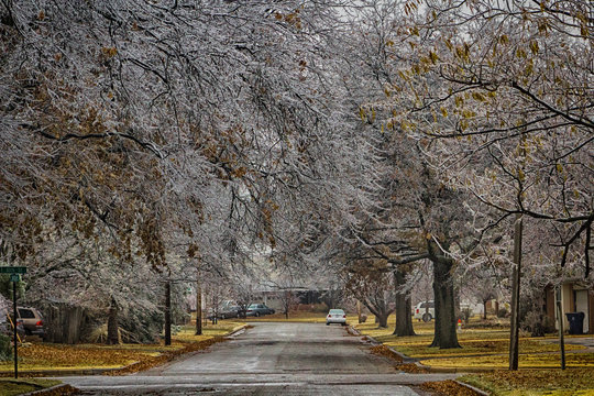 Neighborhood scene in winter